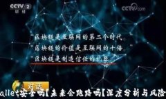 TPWallet安全吗？未来会跑路吗？深度分析与风险评