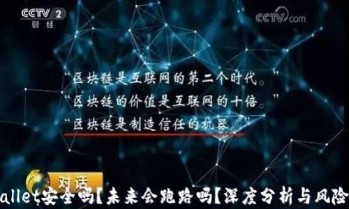 
TPWallet安全吗？未来会跑路吗？深度分析与风险评估