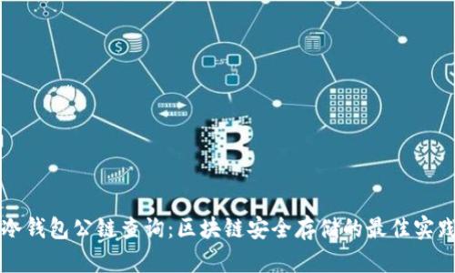 冷钱包公链查询：区块链安全存储的最佳实践