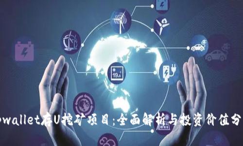 tpwallet存U挖矿项目：全面解析与投资价值分析