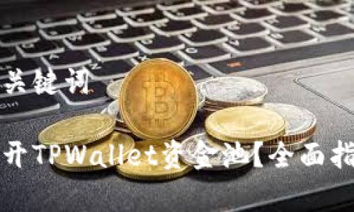 思考和关键词

如何打开TPWallet资金池？全面指南解析