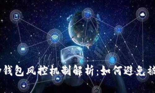 Gopay钱包风控机制解析：如何避免被限制？