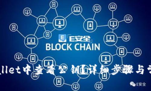 如何在TPWallet中查看公钥？详细步骤与常见问题解析