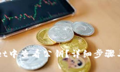 如何在TPWallet中查看公钥？详细步骤与常见问题解析