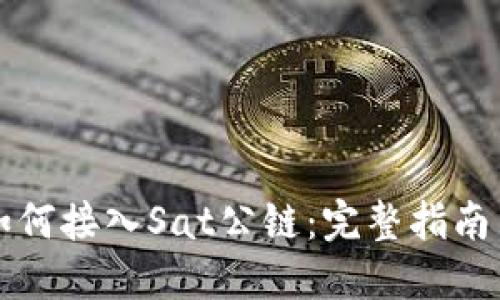 TPWallet如何接入Sat公链：完整指南与应用案例