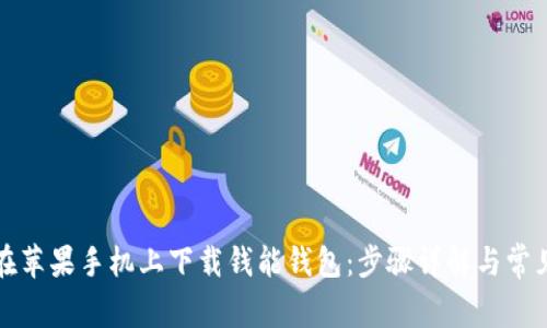 如何在苹果手机上下载钱能钱包：步骤详解与常见问题