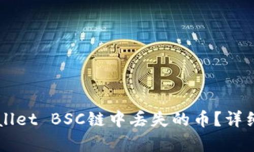 如何找回在TPWallet BSC链中丢失的币？详细指南与案例分析