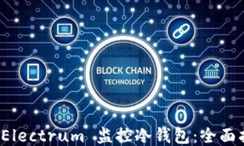
如何使用 Electrum 监控冷钱包：全面指南与技巧