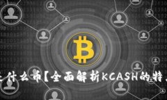 KCASH是什么币？全面解析