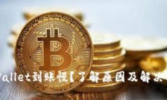 TPWallet到账慢？了解原因及