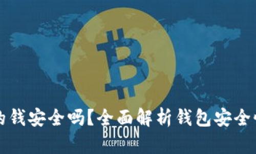 TPWallet里的钱安全吗？全面解析钱包安全性与保障措施