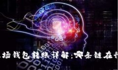 TP波场钱包转账详解：哪条