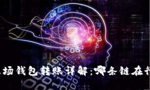 TP波场钱包转账详解：哪条链在行动？