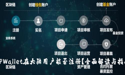 TPWallet在大陆用户能否注册？全面解读与指南