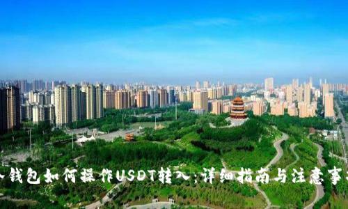 冷钱包如何操作USDT转入：详细指南与注意事项