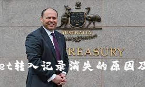 : TPWallet转入记录消失的原因及解决办法