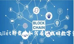 tpwallet卸载后如何有效找回