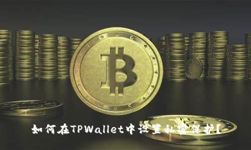 如何在TPWallet中设置私密保护？