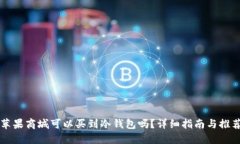 苹果商城可以买到冷钱包吗？详细指南与推荐