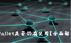  2022年TPWallet是否仍在使用