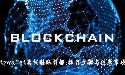 tpwallet离线转账详解：操作步骤与注意事项