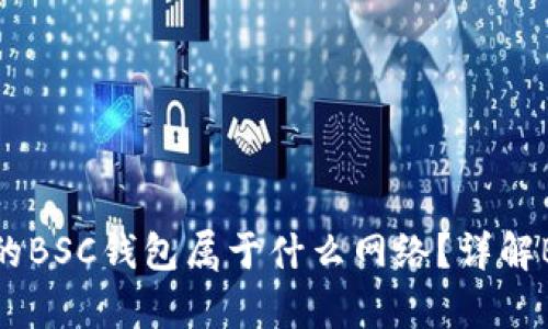 tpwallet里的BSC钱包属于什么网络？详解BSC及其优势