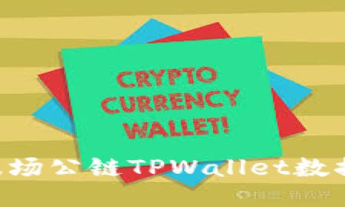 如何查看波场公链TPWallet数据：详尽指南