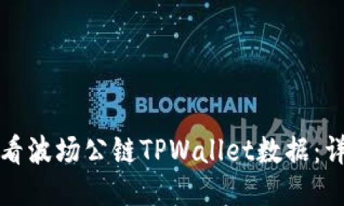 如何查看波场公链TPWallet数据：详尽指南