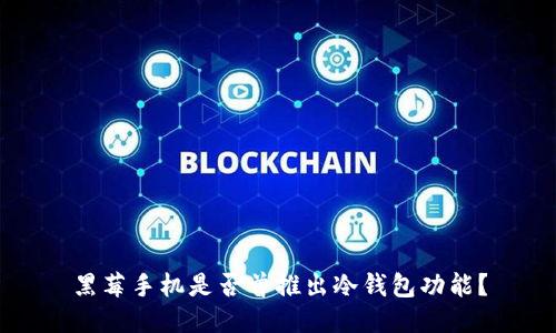 黑莓手机是否曾推出冷钱包功能？