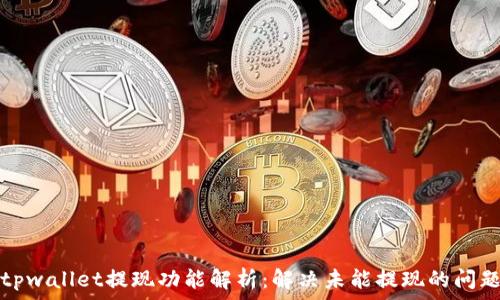  
tpwallet提现功能解析：解决未能提现的问题