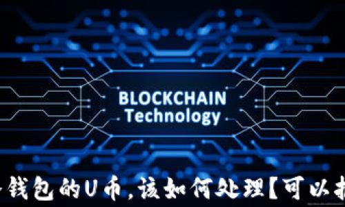 
丢失冷钱包的U币，该如何处理？可以报警吗？