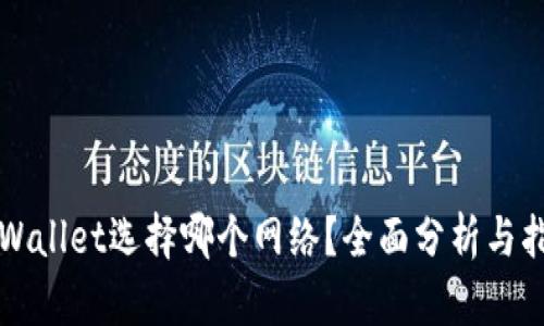 TPWallet选择哪个网络？全面分析与指南