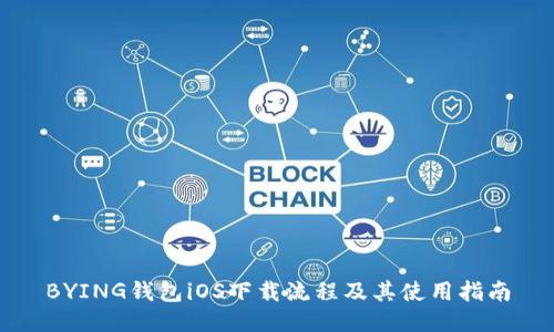 BYING钱包iOS下载流程及其使用指南