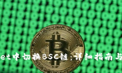 如何在TPWallet中切换BSC链：详细指南与常见问题解答