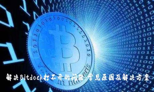 解决Bitdock打不开的问题：常见原因及解决方案