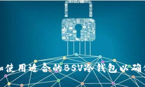 如何选择和使用适合的BSV冷钱包以确保资金安全