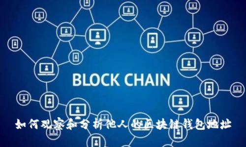 如何观察和分析他人的区块链钱包地址