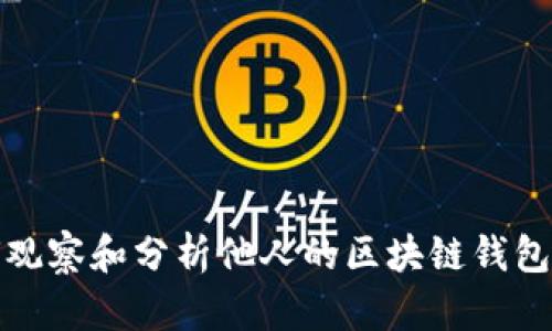 如何观察和分析他人的区块链钱包地址