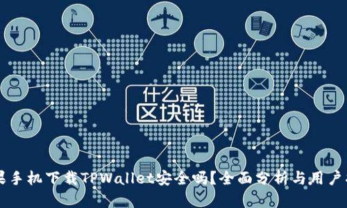 苹果手机下载TPWallet安全吗？全面分析与用户指南