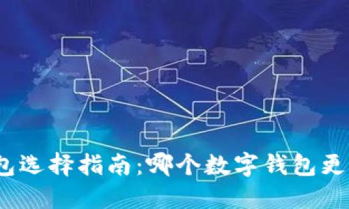 数字钱包选择指南：哪个数字钱包更适合你？