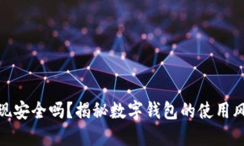数字钱包提现安全吗？揭秘数字钱包的使用风险与安全性