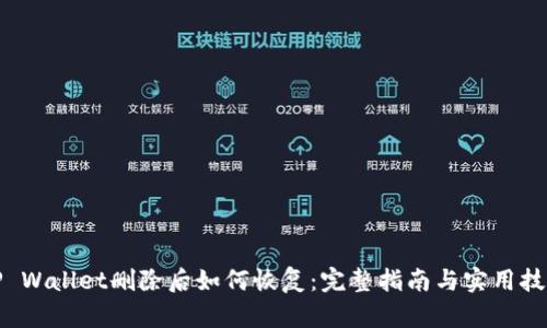 TP Wallet删除后如何恢复：完整指南与实用技巧