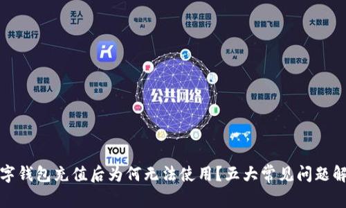 数字钱包充值后为何无法使用？五大常见问题解析