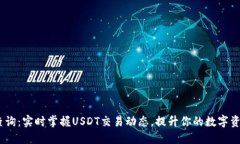 USDT网络查询：实时掌握