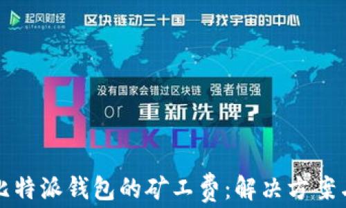 
如何降低比特派钱包的矿工费：解决方案与实用技巧