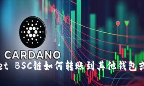 TPWallet BSC链如何转账到其他钱包或交易所