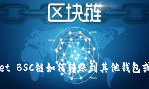 TPWallet BSC链如何转账到其他钱包或交易所