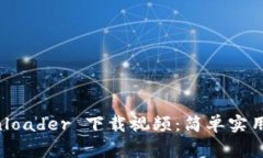 如何使用 BitDownloader 下载视频：简单实用的步骤