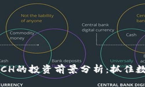 2023年虚拟币XCH的投资前景分析：抓住数字货币的新浪潮