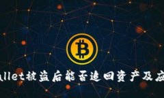 : TPWallet被盗后能否追回资